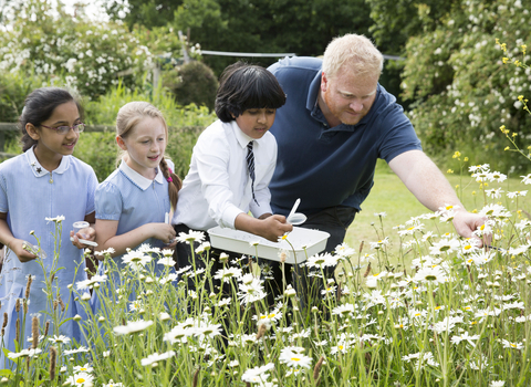 Children learning about wild flowers at EcoPark