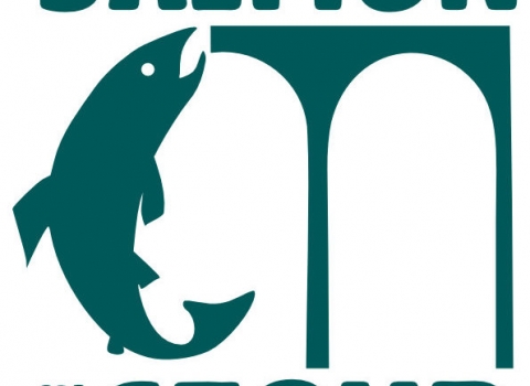 Salmon in the Stour Logo