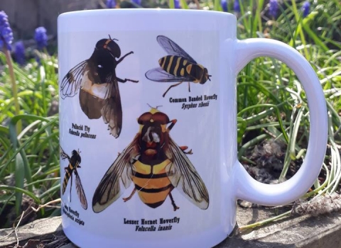 Hoverfly ID mug