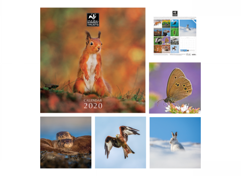 Wildlife Trusts Calendar 2020