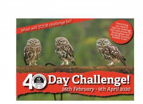 40 Day Challenge