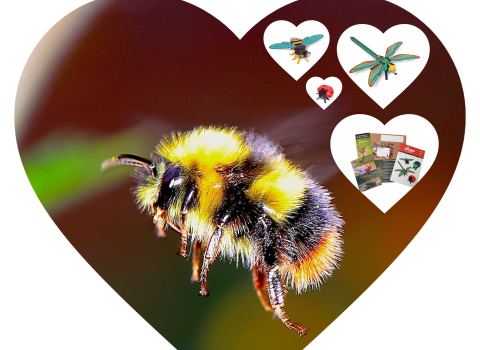 bee and paper bugs