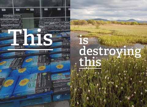Peat