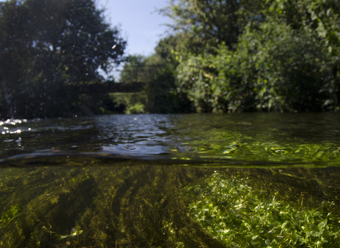 River