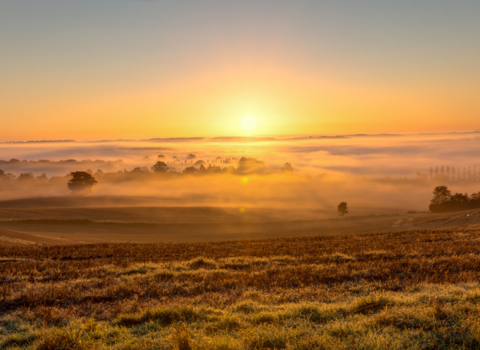 misty sunrise over fields