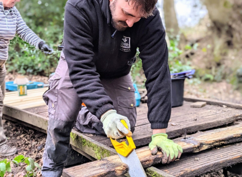 Volunteering at Moseley Bog