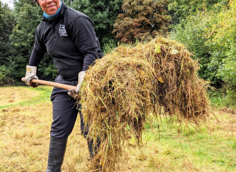 Volunteering at Moseley Bog