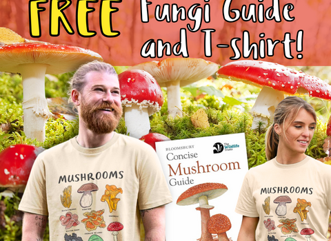 Fungi