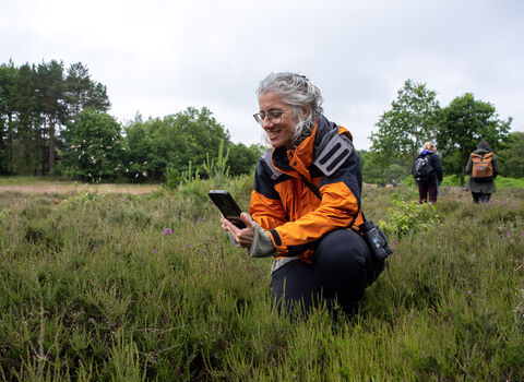 City Nature Challenge