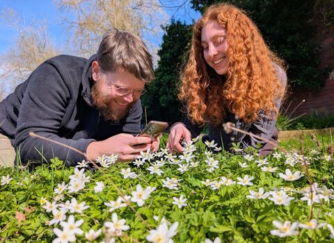 City Nature Challenge