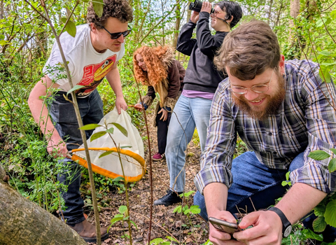 City Nature Challenge