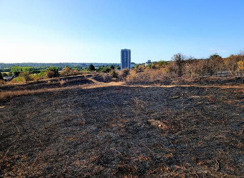 Portway Hill fire