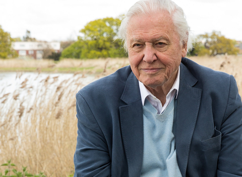 David Attenborough