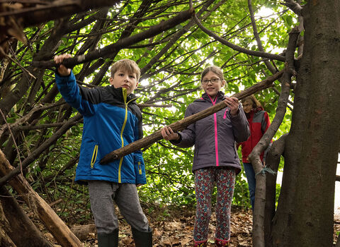 Den building